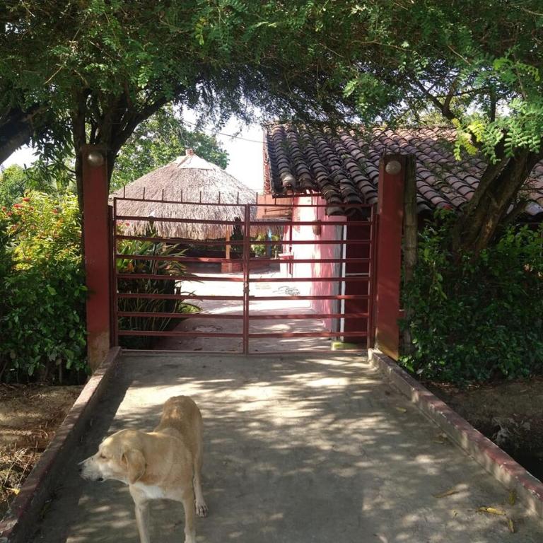 Estate with pool for 7 people in Roldanillo - Casa de 3 dormitorios - 3