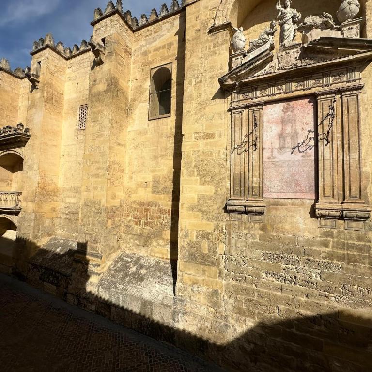 DS Mezquita-Catedral - Apartamento de 1 dormitorio - 15