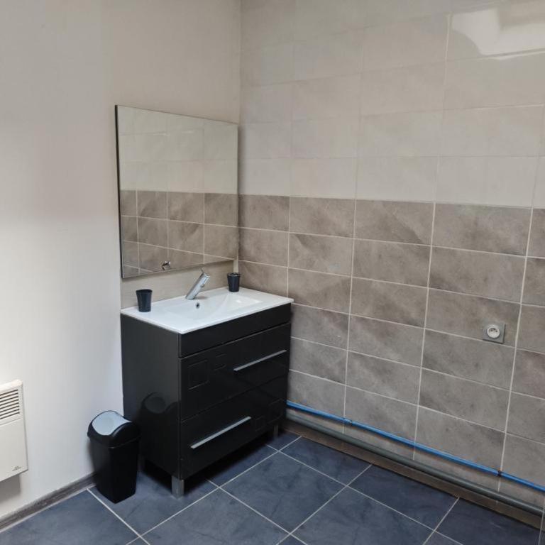 Studio au cœur d'Amboise pour 2 pers, vue sur château - FR-1-381-609 - Studio - 13