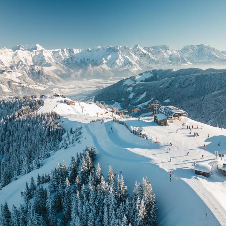 Stadlbauergütl - Appartement avec Vue sur la Montagne - 10