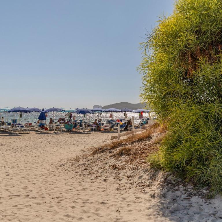GuestHost - Comfy Apartment near the beach Alghero - Appartamento con 2 Camere da Letto - 23