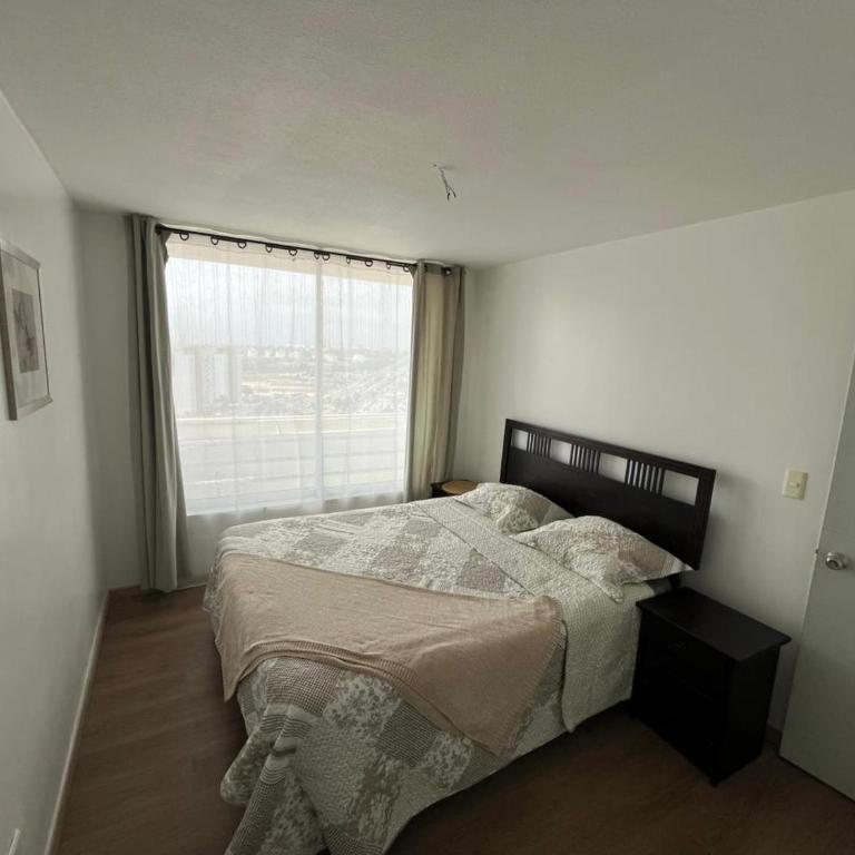 La Serena - One-Bedroom Apartment - 8