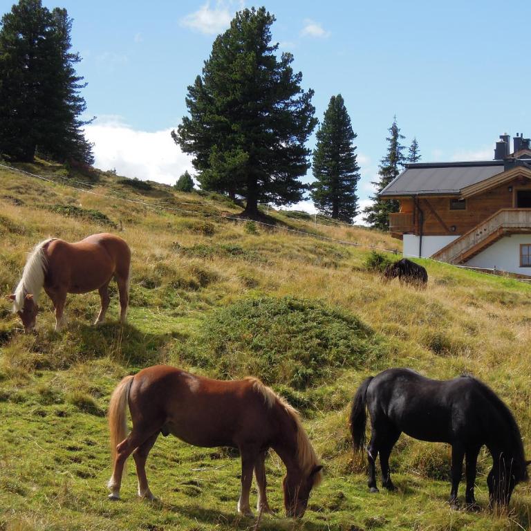 Skihütten LANG auf 1700 m in Hochkrimml, Zillertal Arena - Apartment mit 2 Schlafzimmern und Balkon - 3