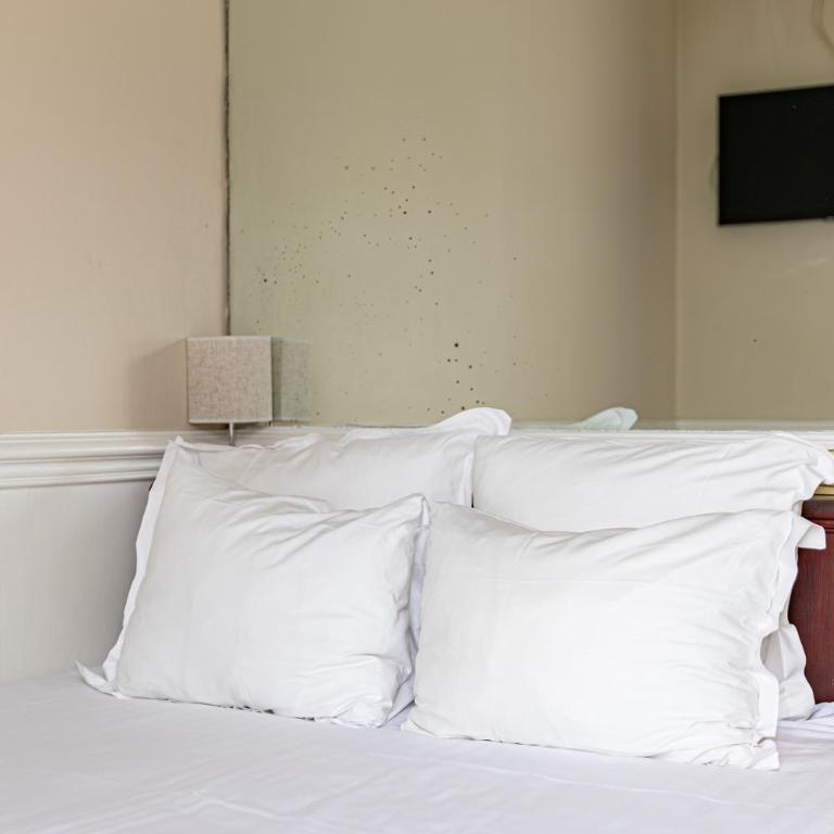 Hotel Claude Bernard Saint-Germain - Chambre Simple - 4