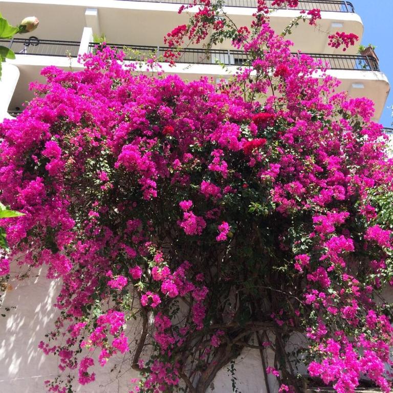 Casa Mateo - Three-Bedroom Home - 3