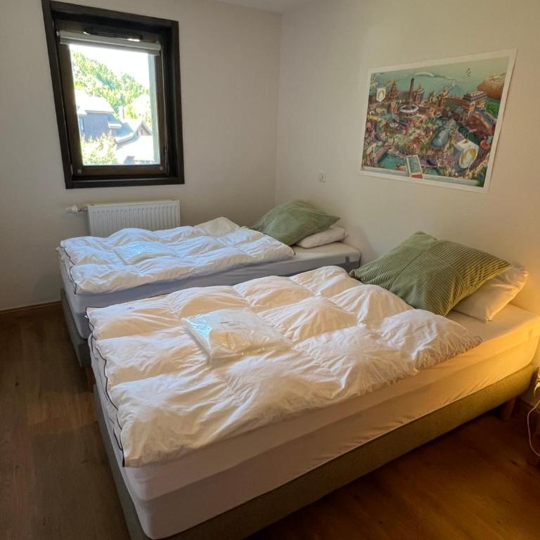 Appartment Chalet Martin 24 for 4 person 50 from the slopes - Apartment mit 2 Zimmern - 11