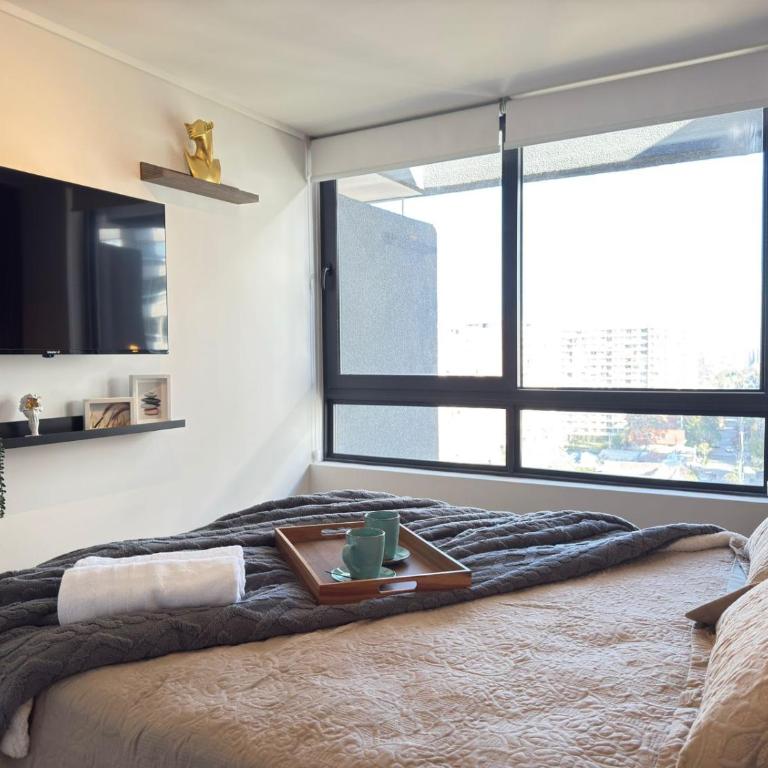 HOM I Metro I Cowork I Parking I Barrio Italia - Apartment - 24