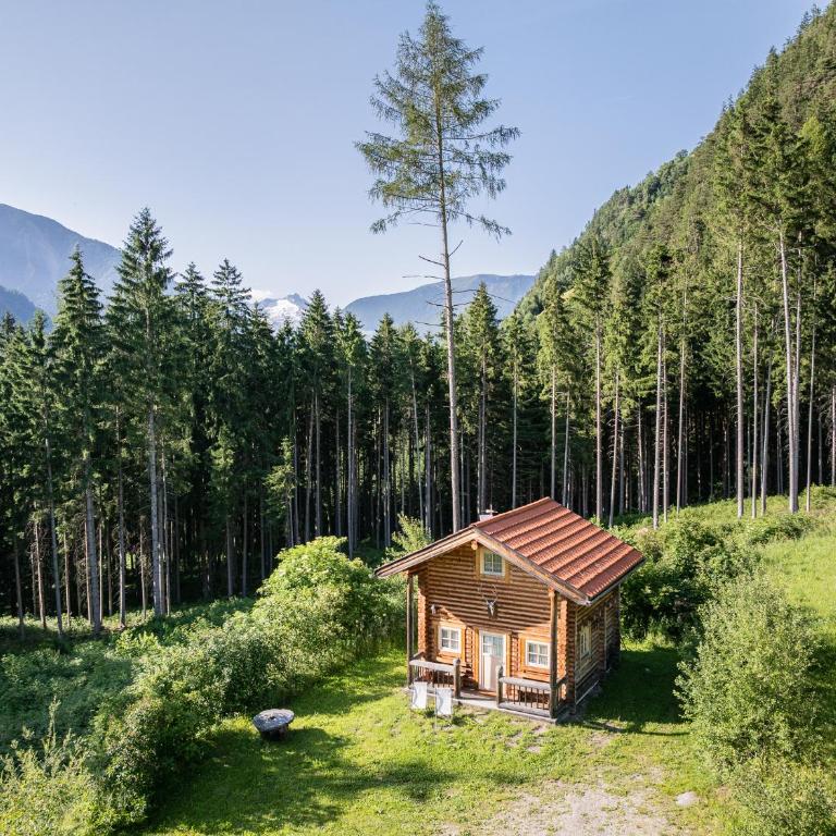 Anewandterhof - Chalet con 1 Camera da Letto - 21