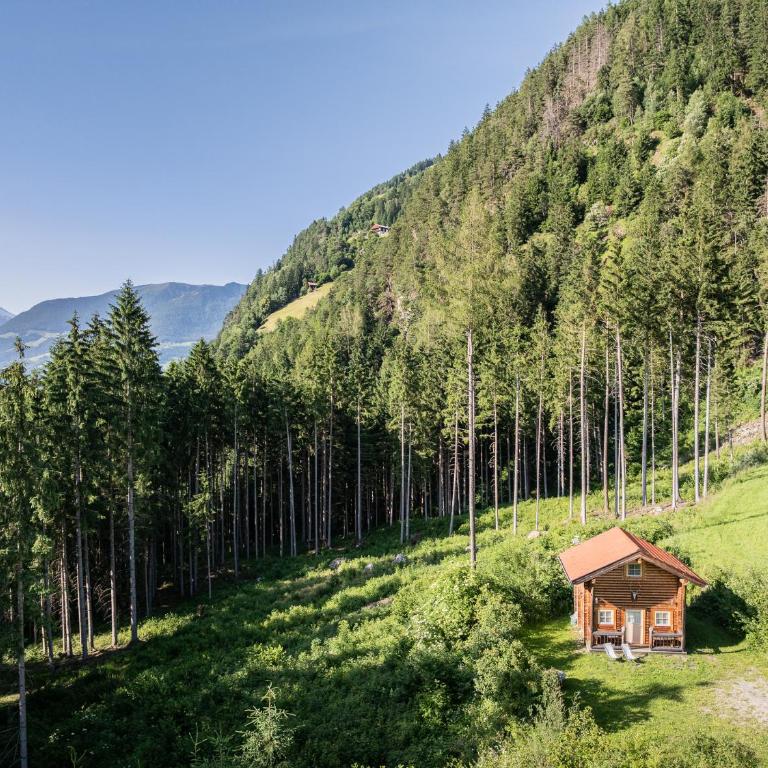 Anewandterhof - Chalet con 1 Camera da Letto - 16