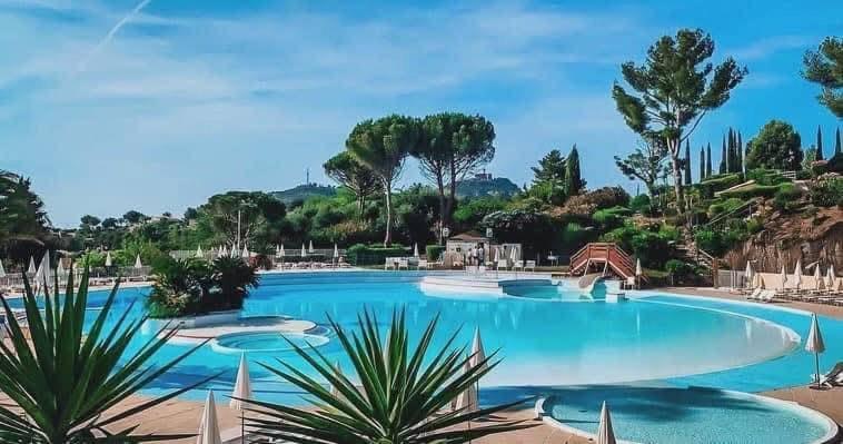 Les Oliviers de l'Esterel - Apartamento de 1 dormitorio - 16