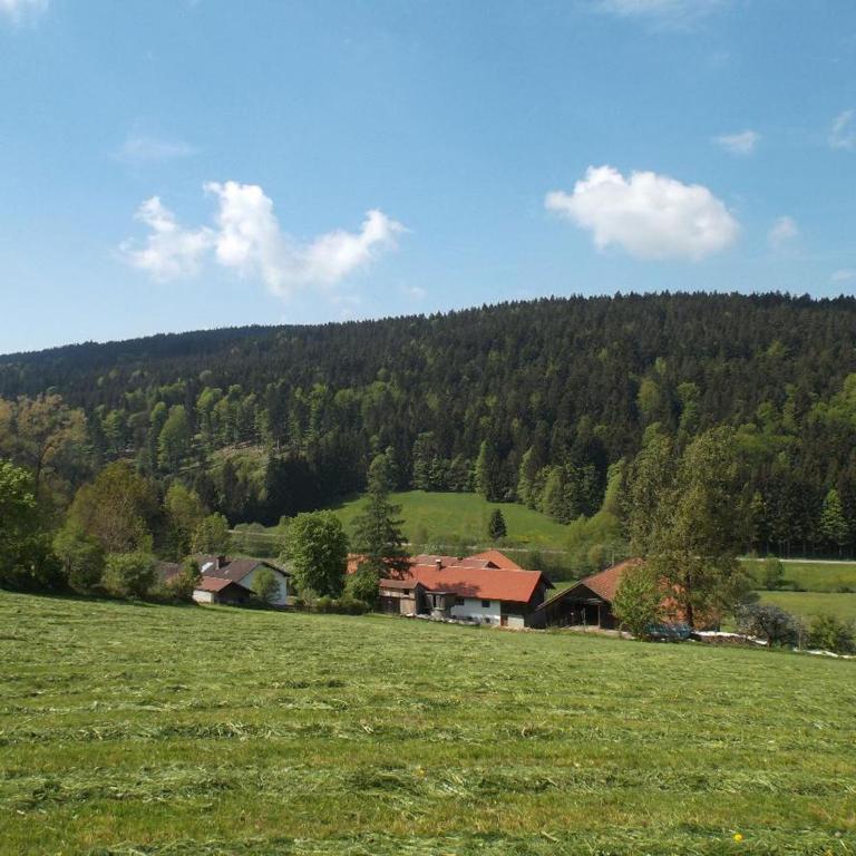 Ferienwohnung Lindenhof mit aktivCard - Apartment - 19