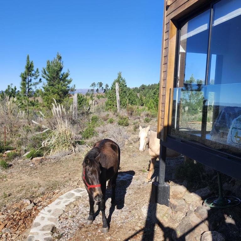 Brisas de la Cayana Cabaña Villa Alpina - Casa con 1 dormitorio - 2