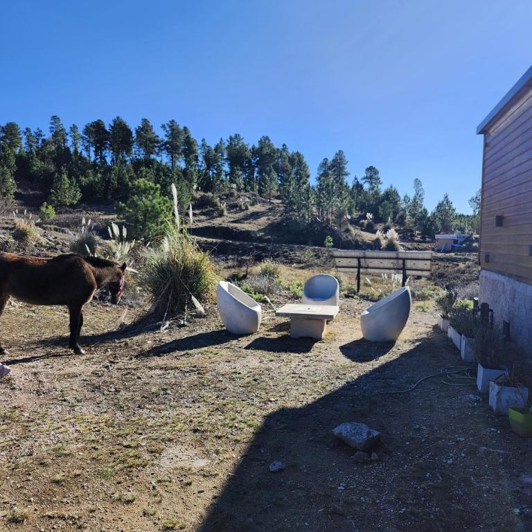 Brisas de la Cayana Cabaña Villa Alpina - Casa con 1 dormitorio - 21
