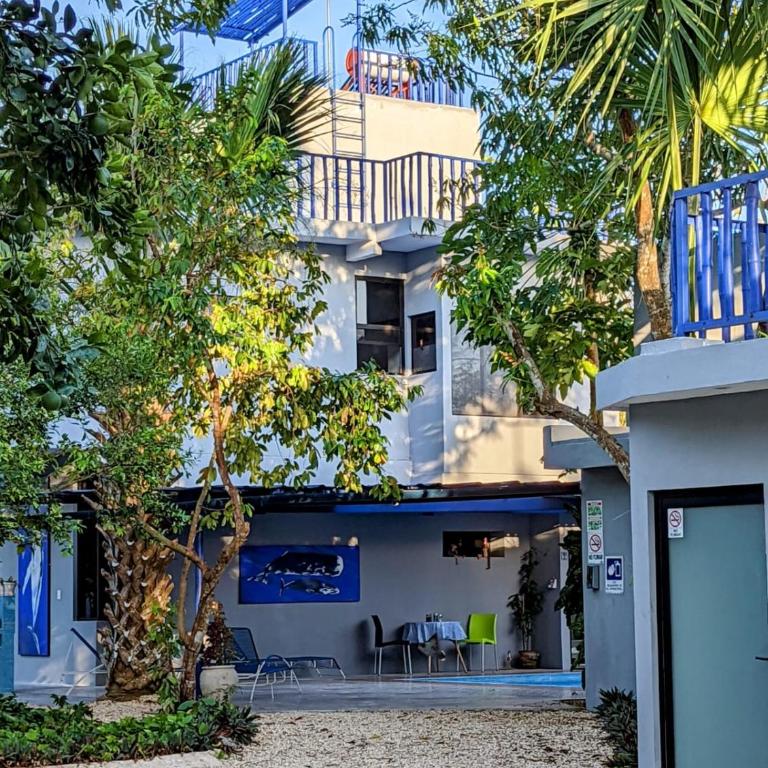 The Blue Eco Lodge - Suite Familiar Deluxe - 9