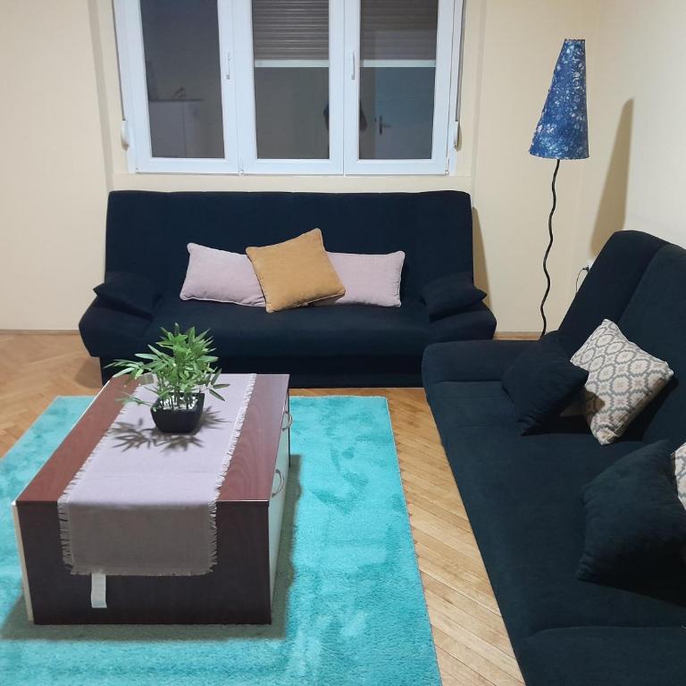 Apartment Vracar - Apartman sa 1 Spavaćom Sobom - 6