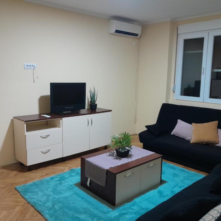 Apartment Vracar - Apartman sa 1 Spavaćom Sobom - 11