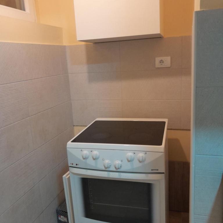 Apartment Vracar - Apartman sa 1 Spavaćom Sobom - 12