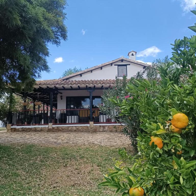 Hotel Estancia Villa Blanca - Deluxe King Room - 8