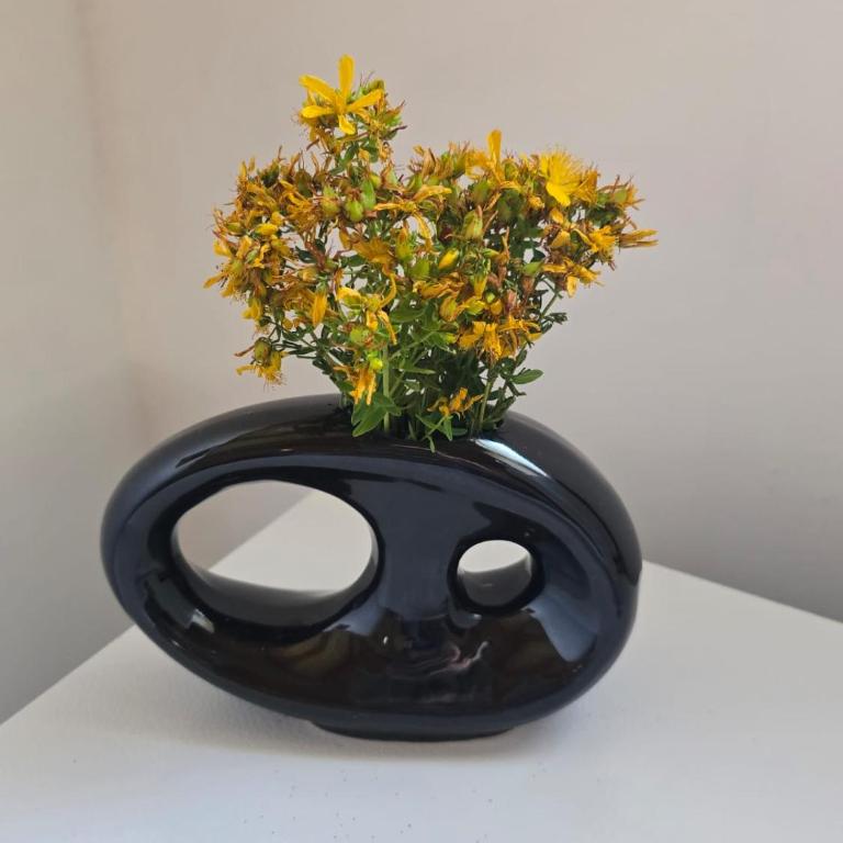 Soko Guest House - Two-Bedroom Apartment - 16