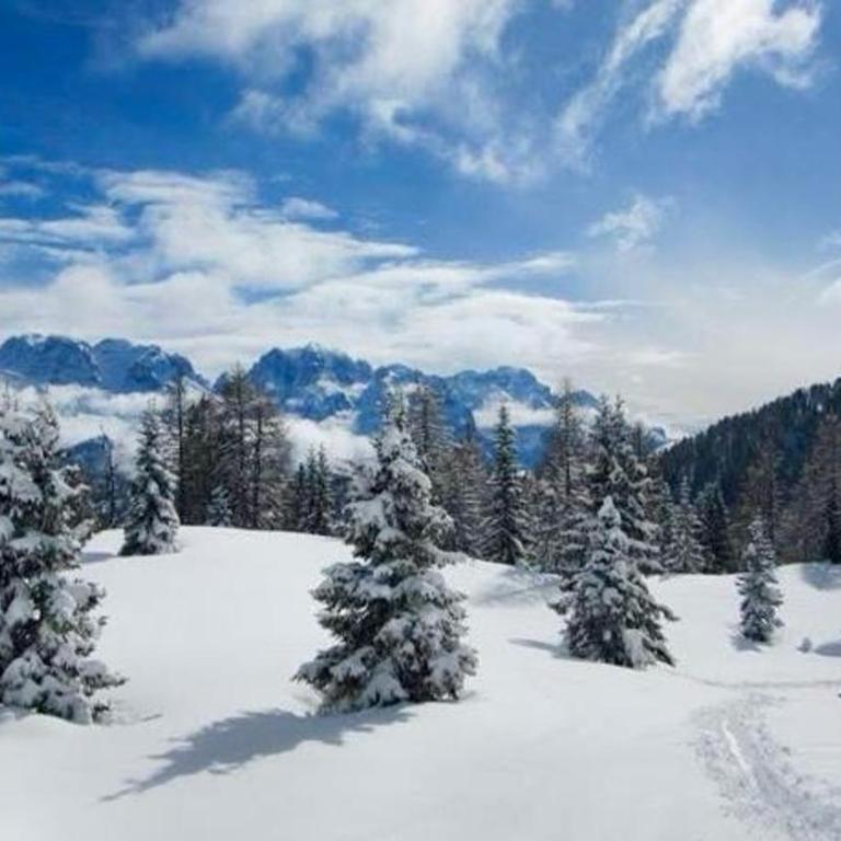 Dream Folgarida vicino alle piste da sci - Appartamento con 1 Camera da Letto - 18