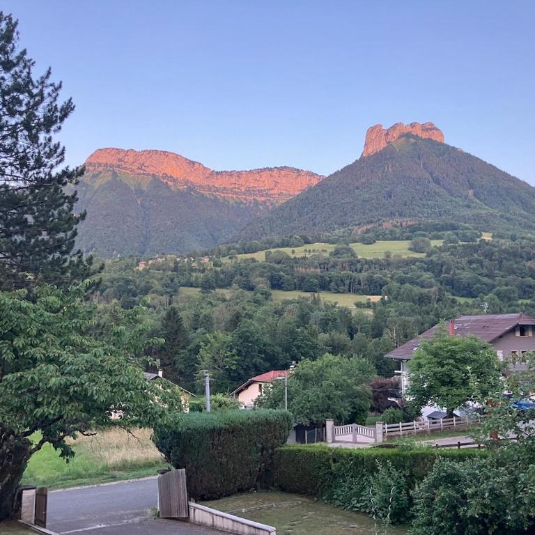Appartement entre lac et montagnes - Appartement 1 Chambre - 5