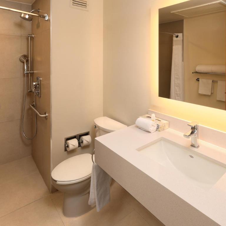 Holiday Inn Express Monterrey Galerias-San Jeronimo by IHG - Standard King Room - Accessible - 2