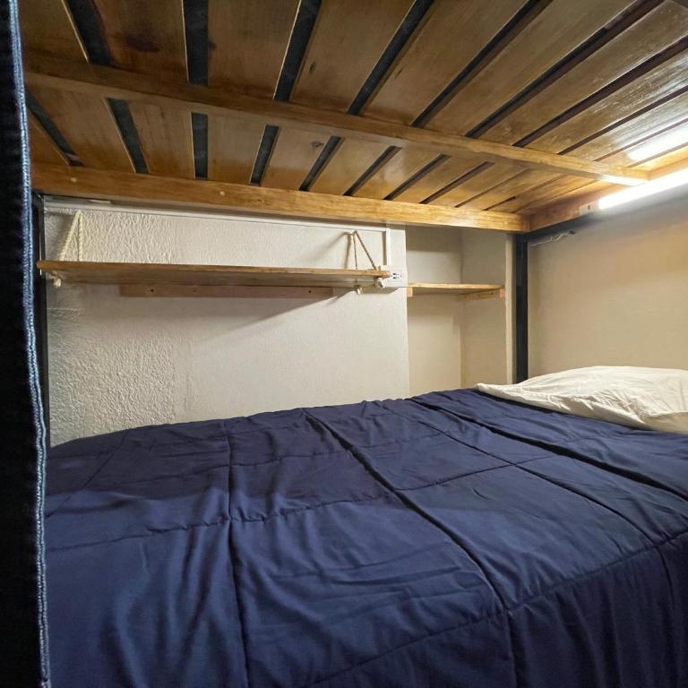 Hostal La Isla - Bed in 6-Bed Mixed Dormitory Room - 3