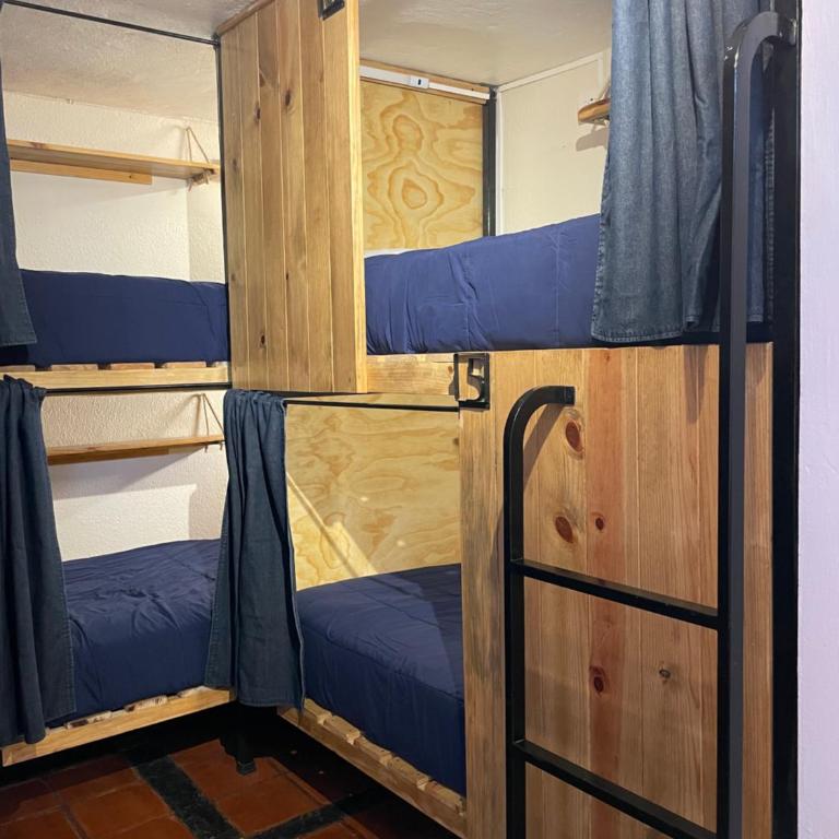 Hostal La Isla - Bed in 6-Bed Mixed Dormitory Room - 4