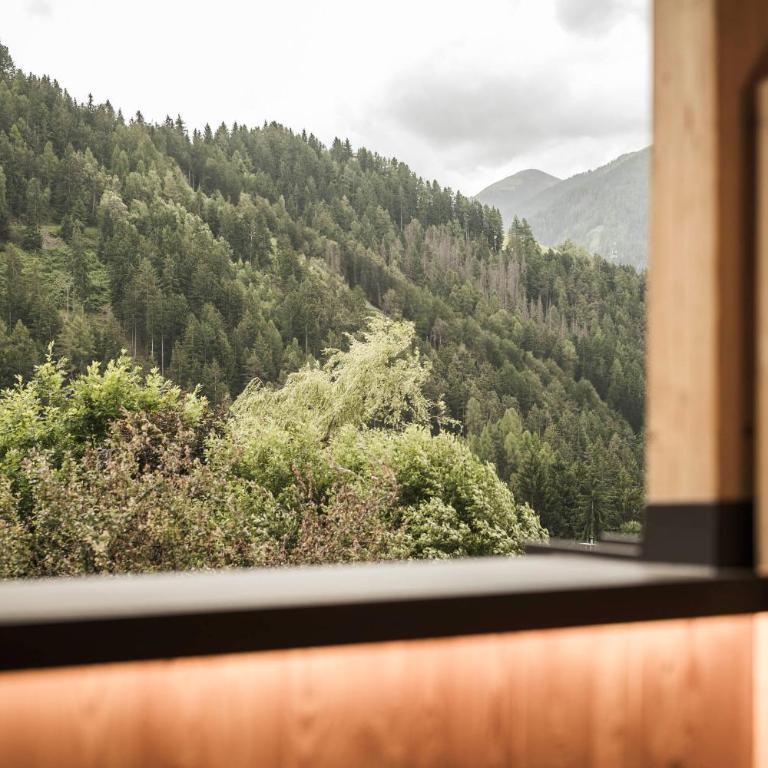 Zalnerhof Urlaub am Bauernhof - Appartamento con 2 Camere da Letto - 3