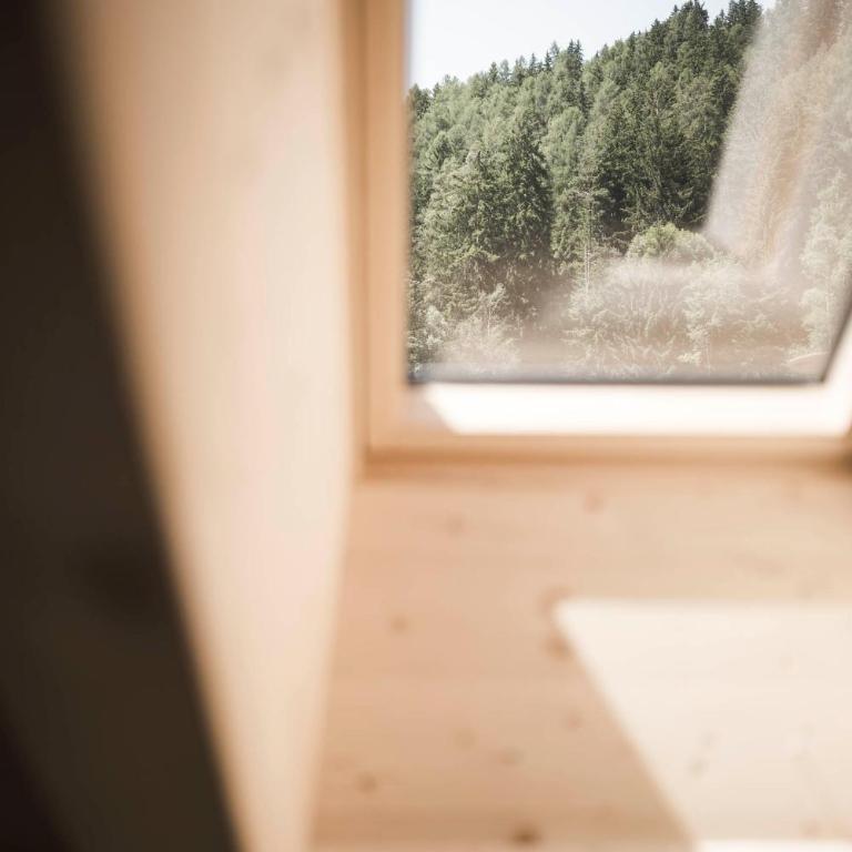Zalnerhof Urlaub am Bauernhof - Appartamento con 2 Camere da Letto - 5