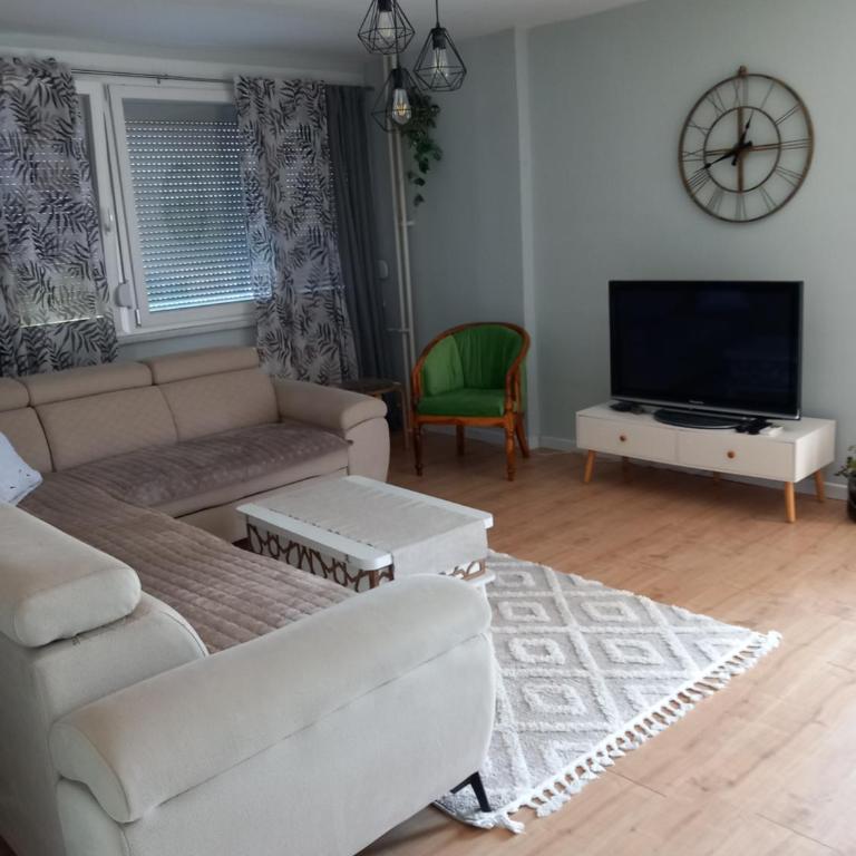 SlatinaApartman - Apartman sa 1 Spavaćom Sobom - 6