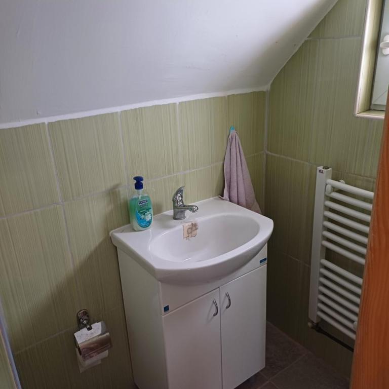 Lepote zlatibora - Kuća sa 2 Spavaće Sobe - 7