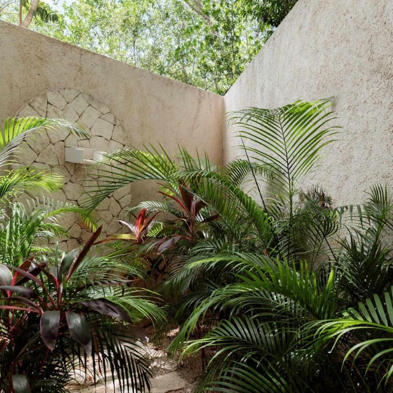 Casa Manati Modern Mansion with pool - Casa - 18