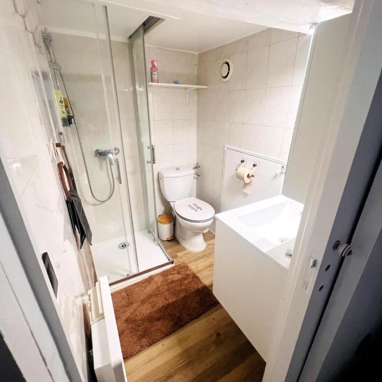 Duplex Place Massena - Appartement 1 Chambre - 7
