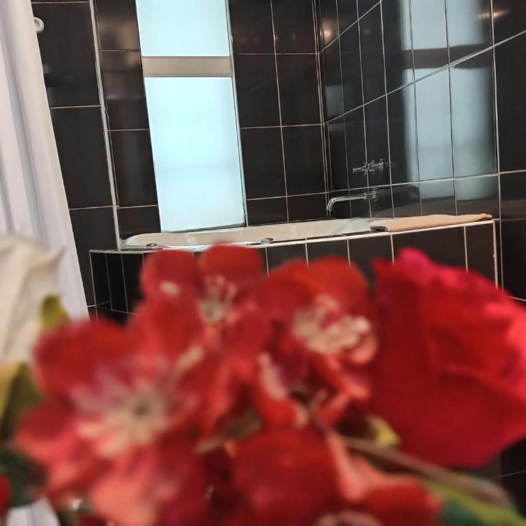 Aqua Hotel Cusco - Habitación Doble Deluxe con bañera - 17