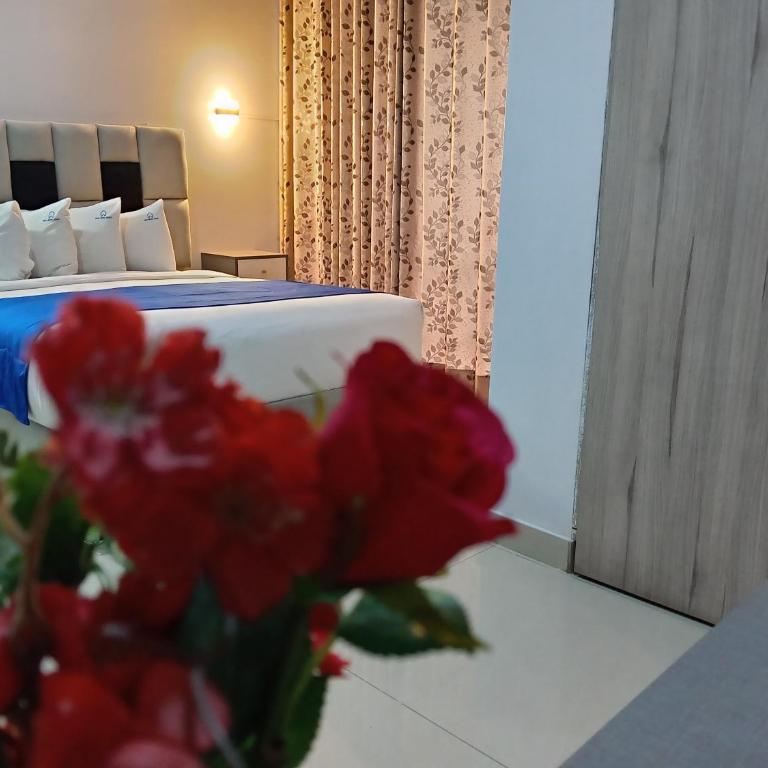 Aqua Hotel Cusco - Habitación Doble Deluxe con bañera - 21