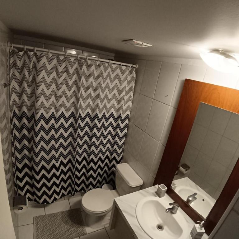 Cómodo departamento cercano al centro de Santiago - One-Bedroom Apartment - 4