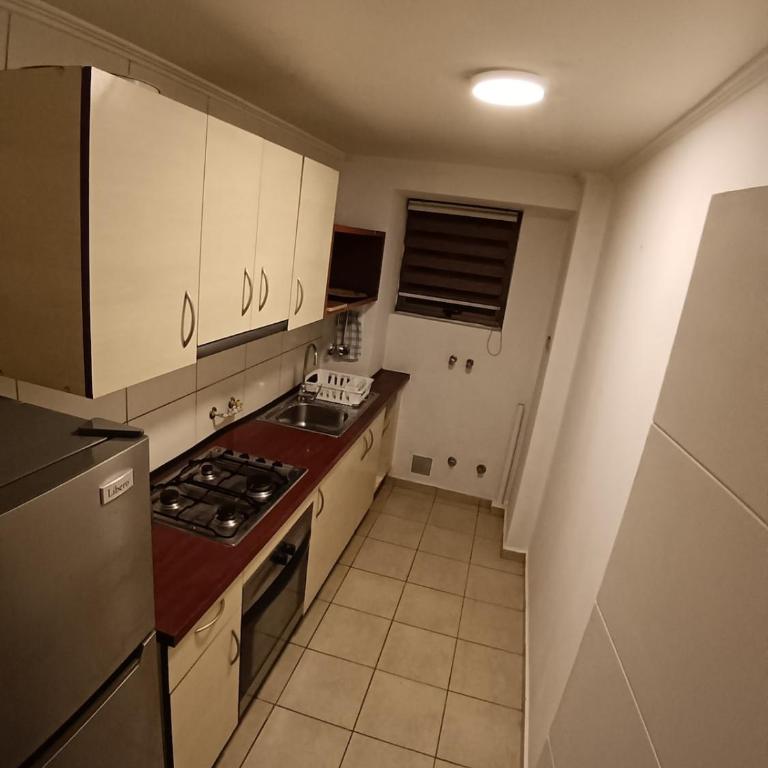 Cómodo departamento cercano al centro de Santiago - One-Bedroom Apartment - 3