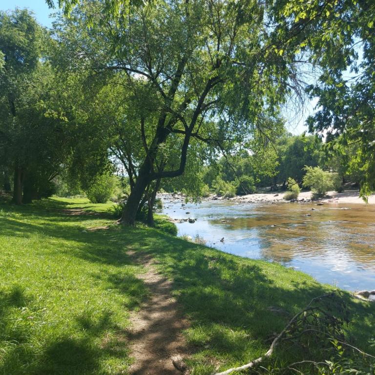 Cabaña Bonitas - Tienda - 2