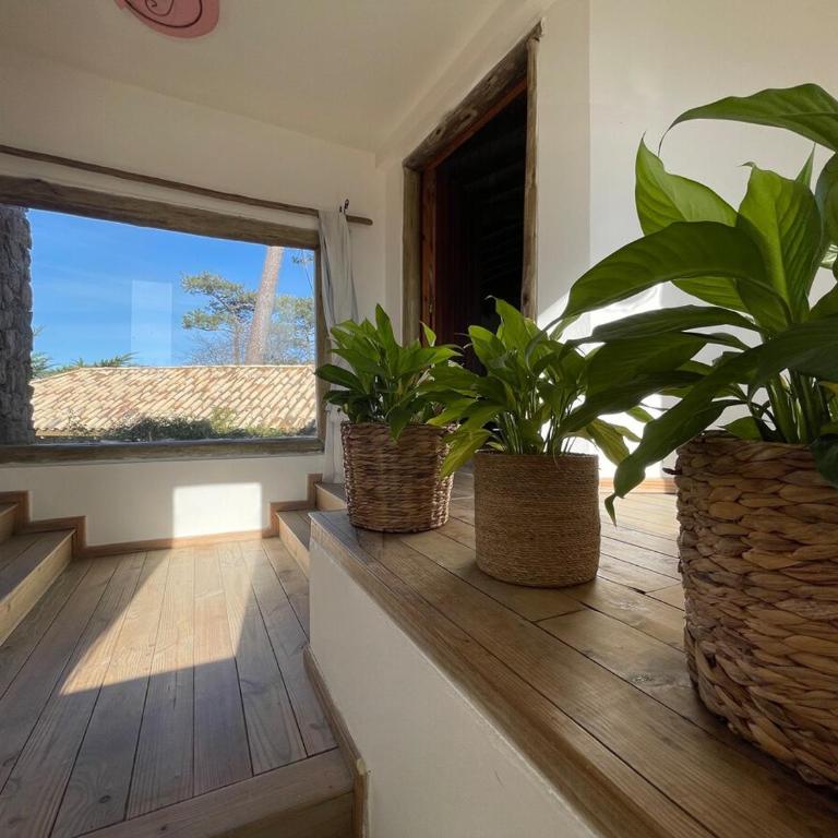 Casa Krisna, Punta del Este - Casa de 4 dormitorios - 2