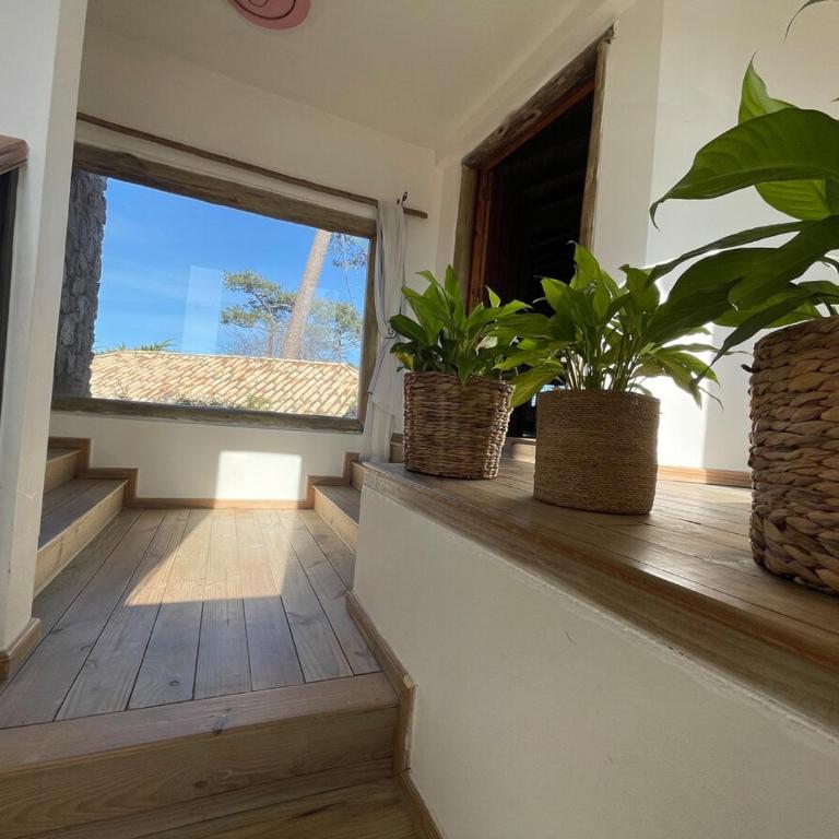 Casa Krisna, Punta del Este - Casa de 4 dormitorios - 7