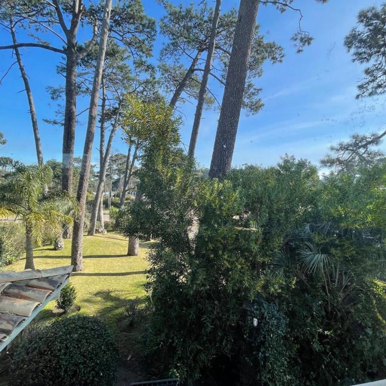 Casa Krisna, Punta del Este - Casa de 4 dormitorios - 25