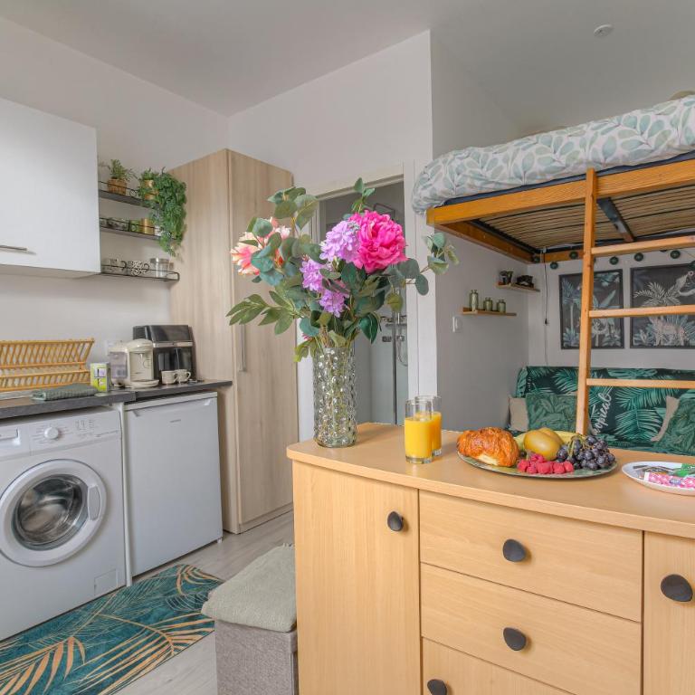 studio jungle - Appartement 1 Chambre - 1