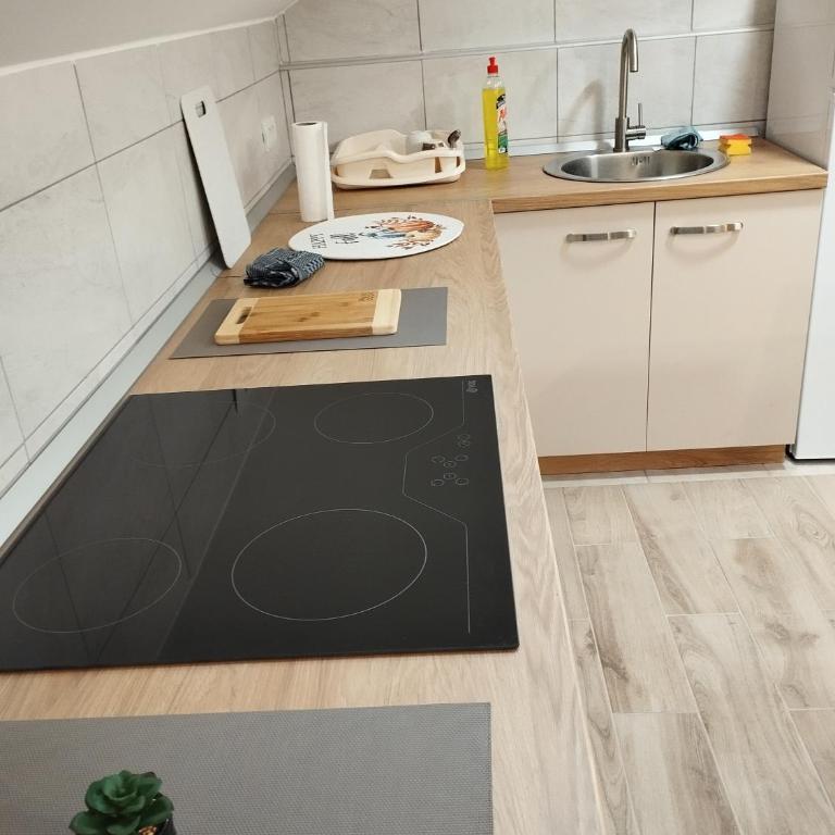 Belgrade City Home - Two-Bedroom Apartment - 12