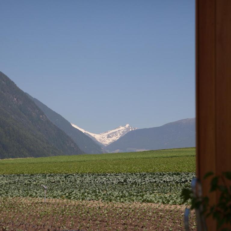 Winklerhof Apartments - Appartamento con 2 Camere da Letto - 1