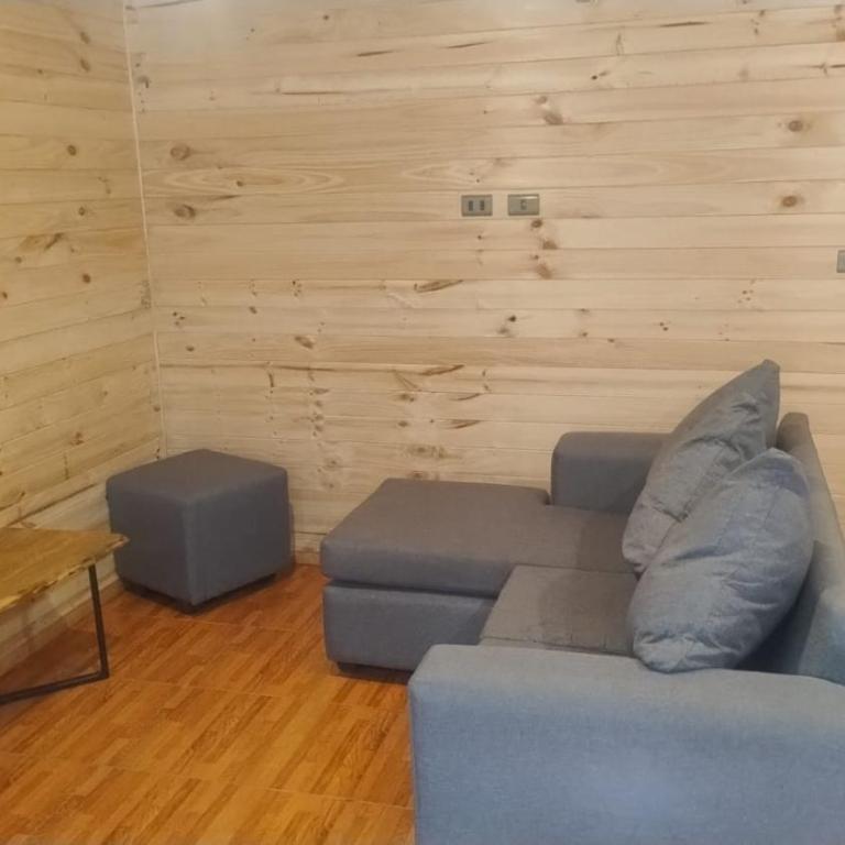 Cabañas tinajas y sauna Quetrupilina - Two-Bedroom House - 6