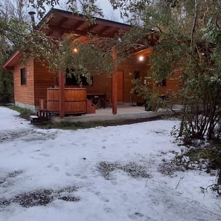 Cabañas tinajas y sauna Quetrupilina - Two-Bedroom House - 3
