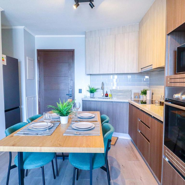 HOM I Wifi BarrioItalia Parking I Smartv Providencia I FB 1 0 3 - Apartment - 18
