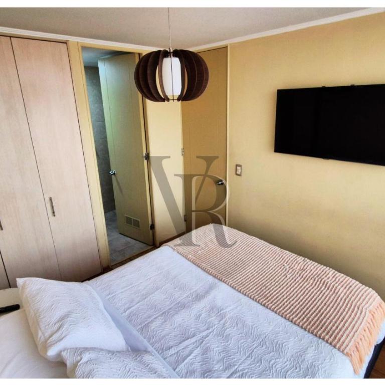 Santiago Centro Depto 1D1B, parking free, metro Santa Ana a 2 cuadras - Apartamento de 1 dormitorio - 5
