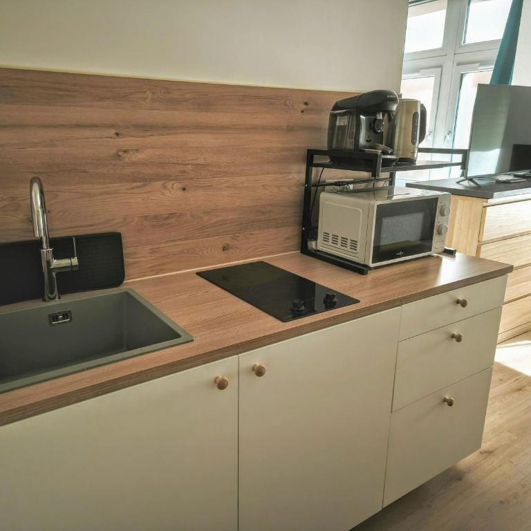 Le Confort de l'Ours - Appartement 1 Chambre - 6